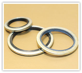 Bonded Seals